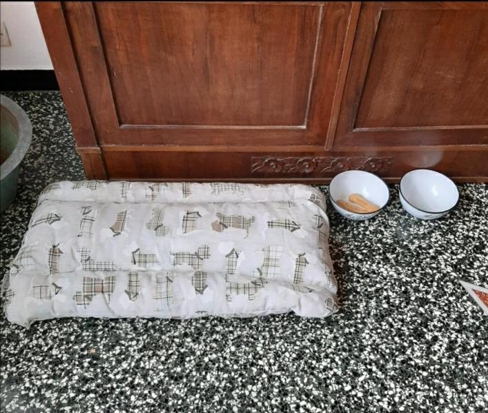 Apartamento La Tana Dei Conigli Serra Rocco Exterior foto