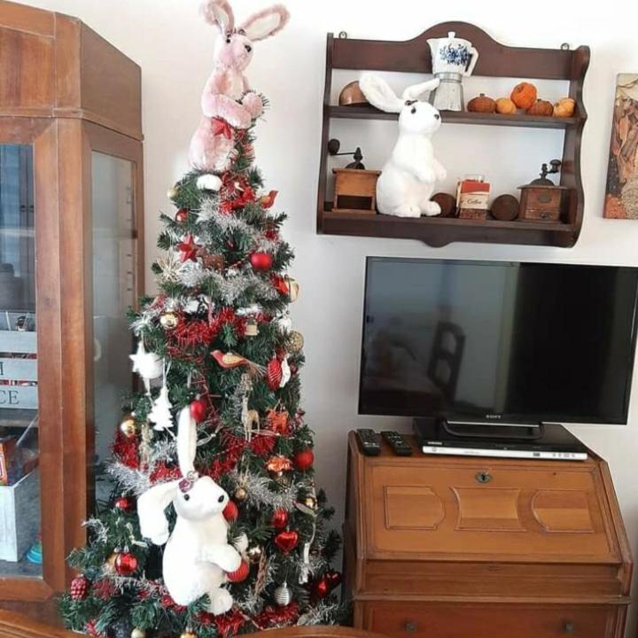 Apartamento La Tana Dei Conigli Serra Rocco Exterior foto