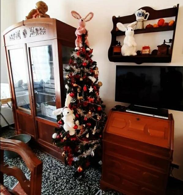 Apartamento La Tana Dei Conigli Serra Rocco Exterior foto